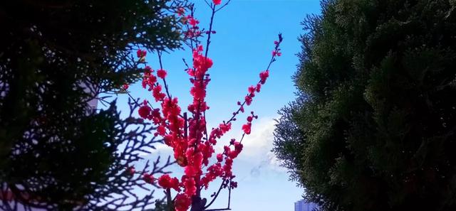 商洛一座美丽的城市,商洛最美的小城市