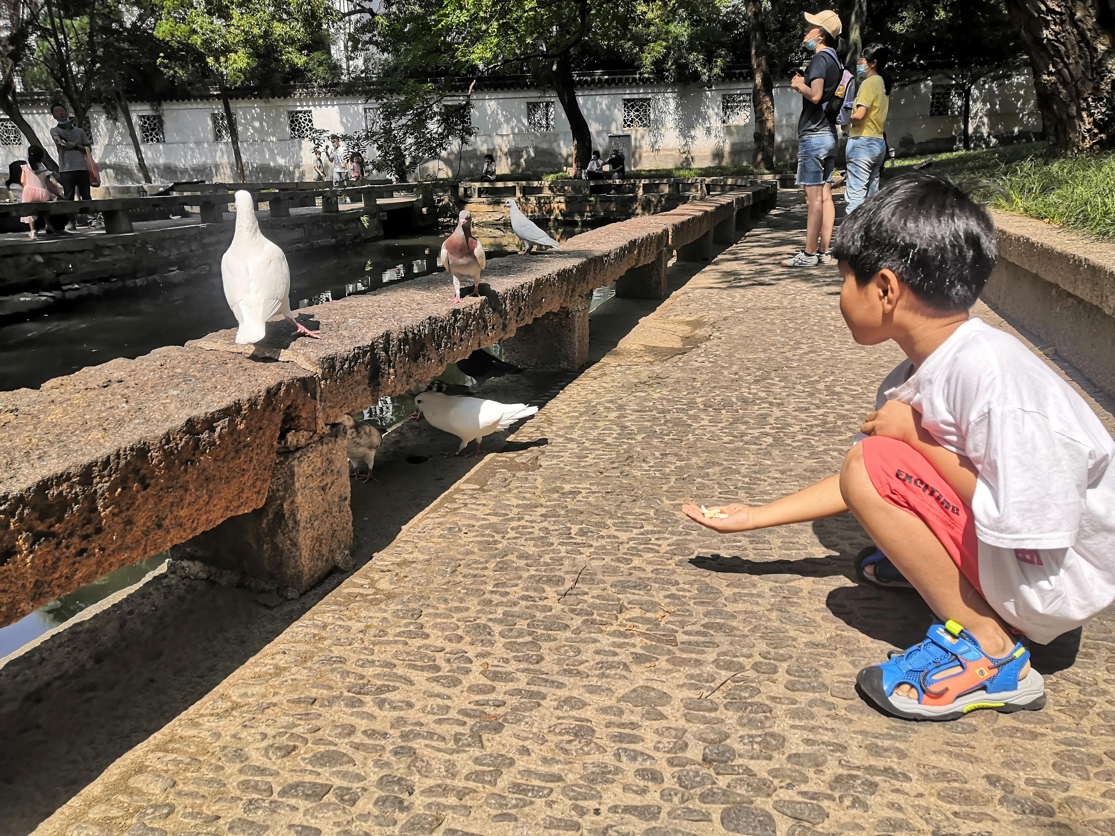 苏州西园寺值得一去吗,苏州西园寺旅游攻略