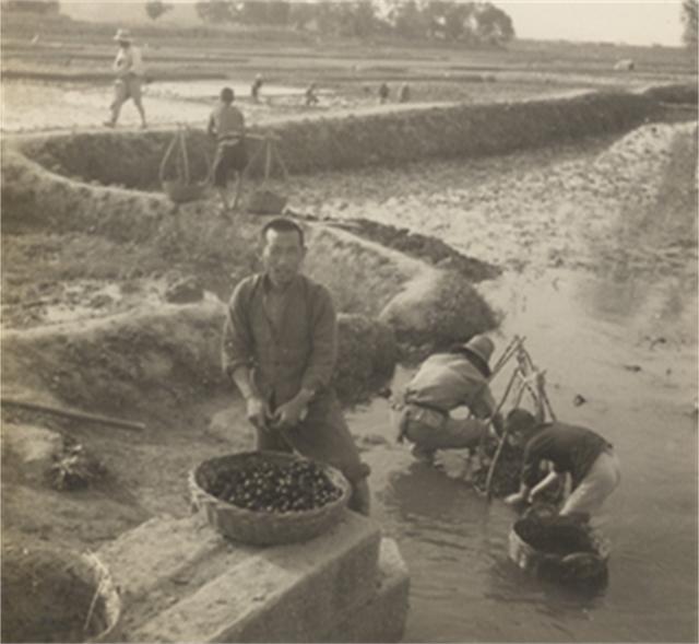 鲁迅和闰土因为什么去世,鲁迅闰土的后代100年后再聚首