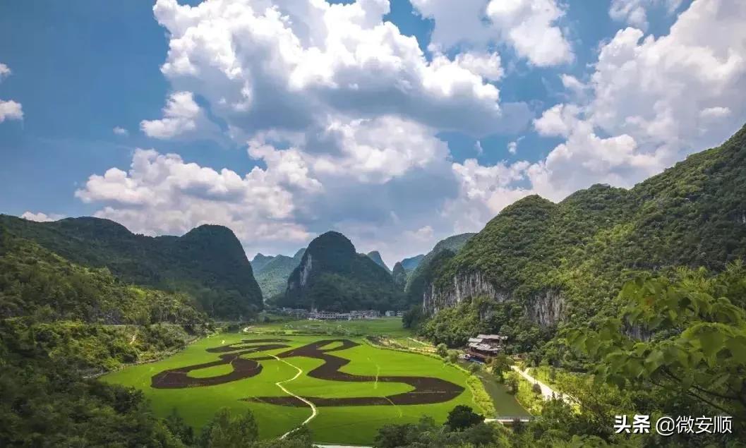 你好！我叫安顺，这是我2021最新简历