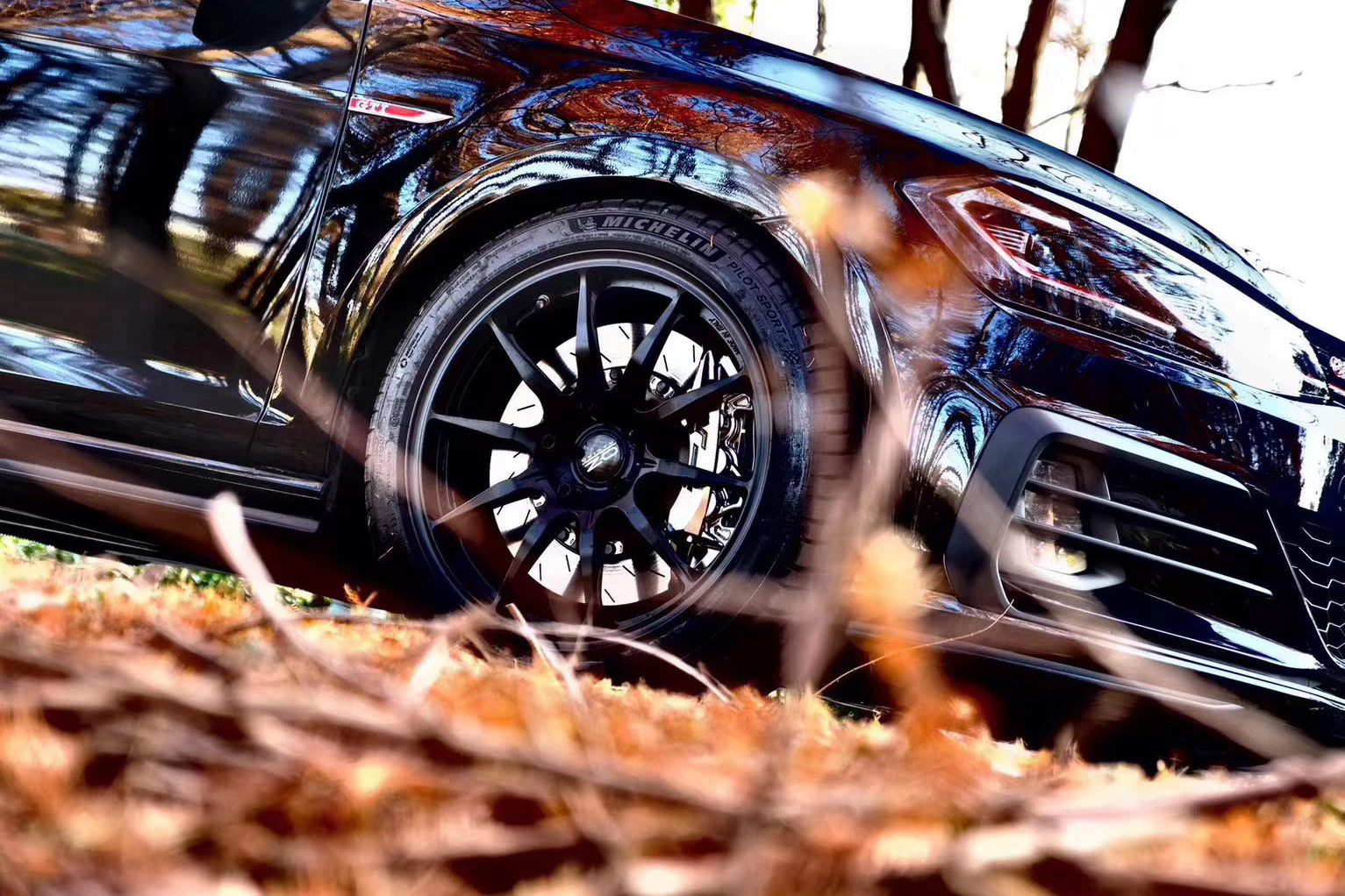 等财富自由了经典语录,等财富自由了你想做什么