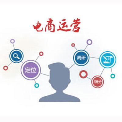 电商运营团队架构搭建方案,电商运营人员薪酬体系晋升方案