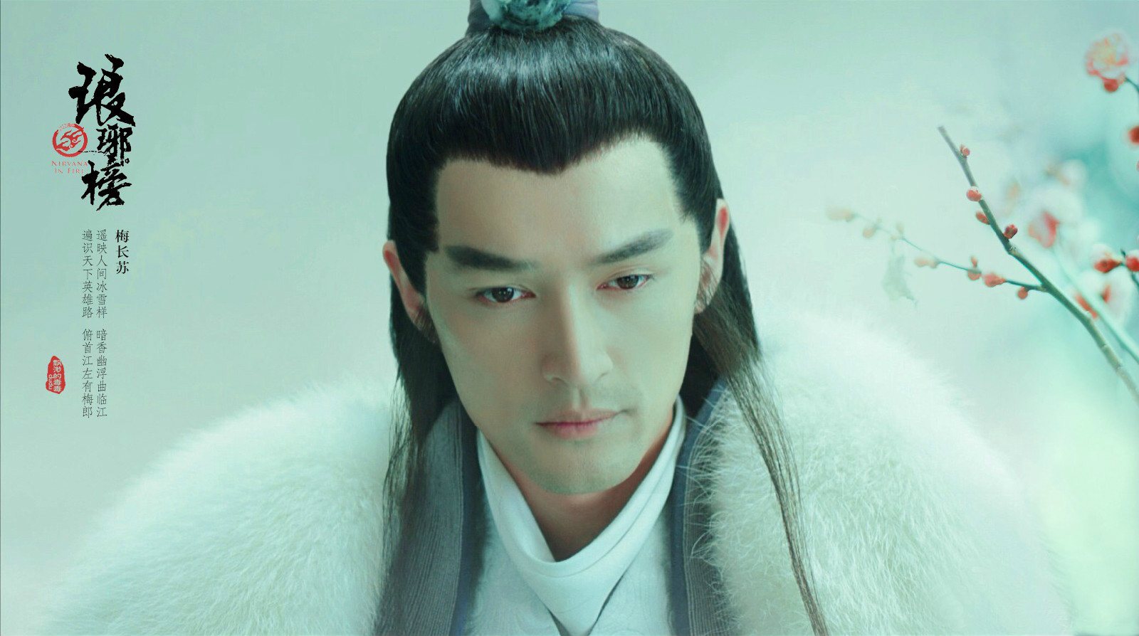 琅琊榜电视剧免费观看全集完整版,评分最高的10部国产剧琅琊榜