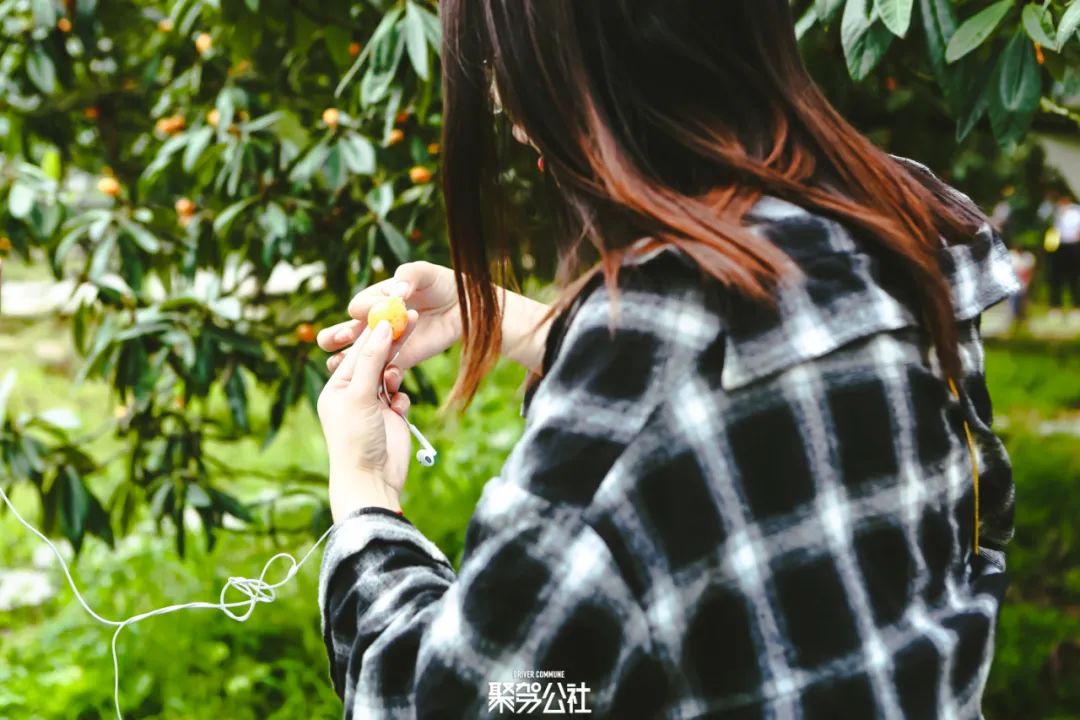 重游中国最美乡村,带你游浙江最美乡村