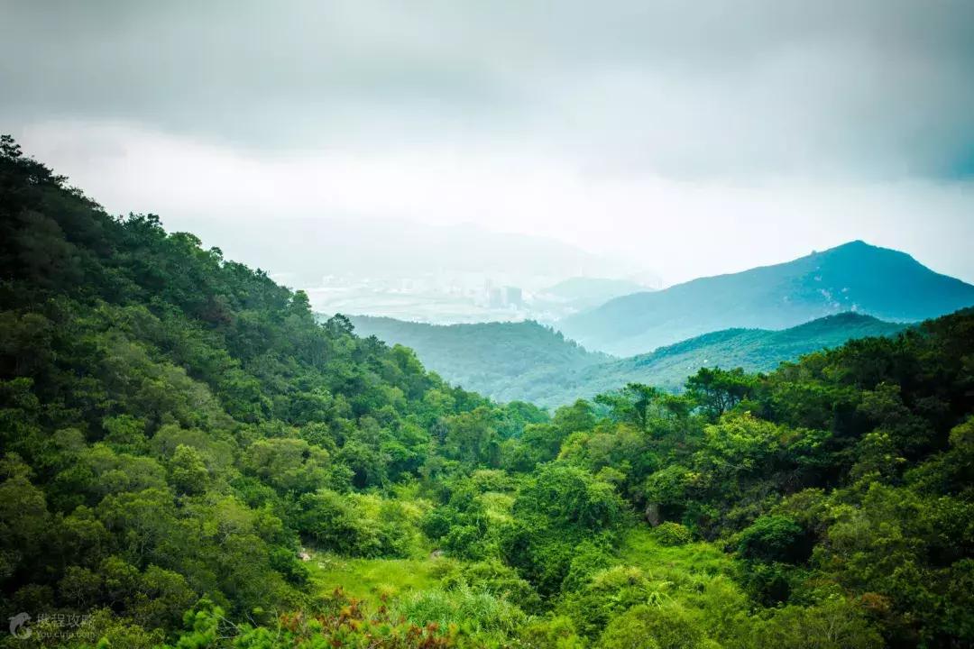 夏天去海岛避暑 (最适合端午的海岛)