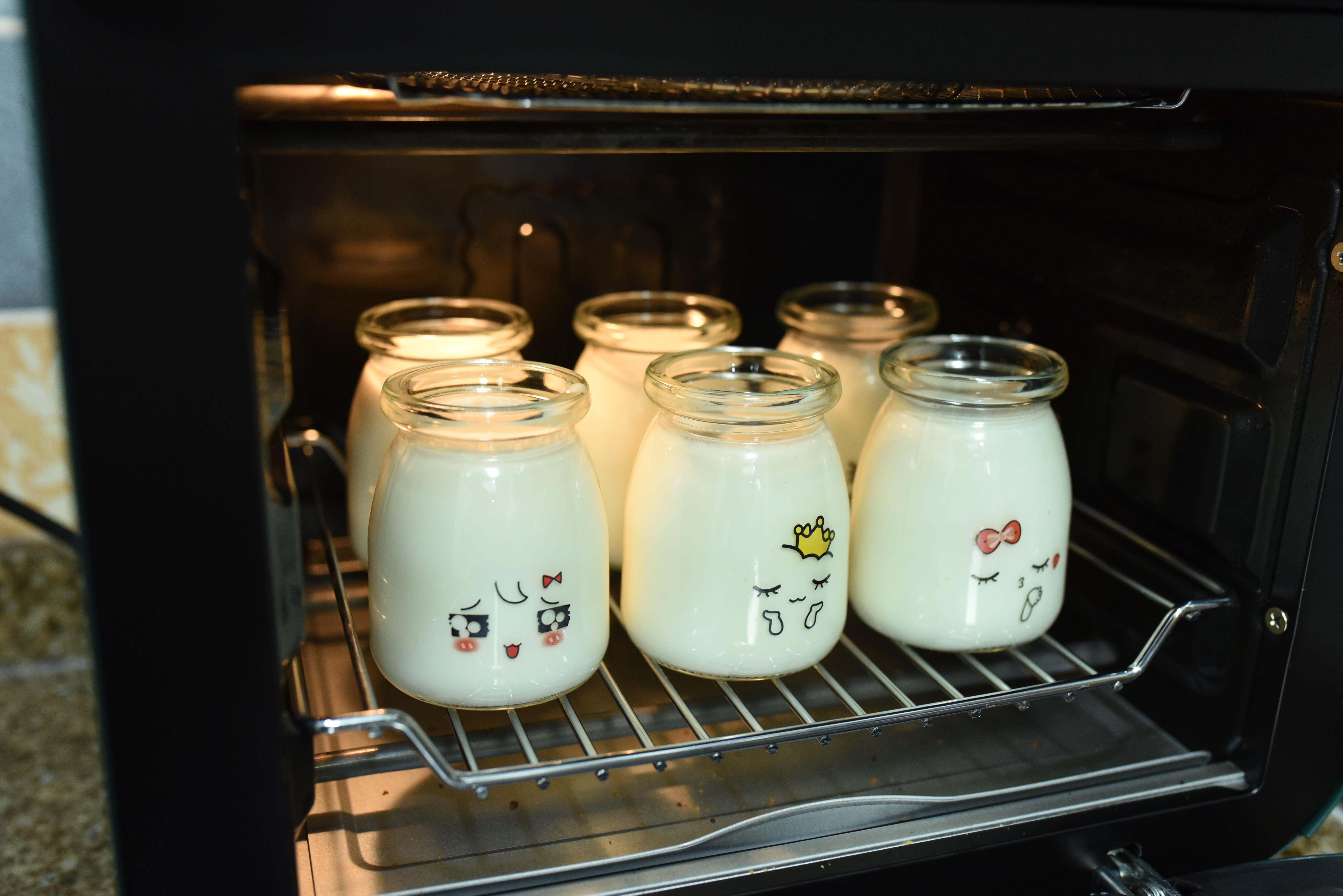 测评酸奶机,一体多功能空气炸锅