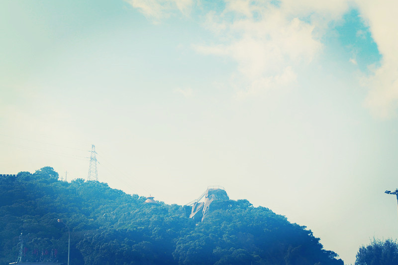 2021高考语文作文素材积累集锦,高三作文素材积累2021