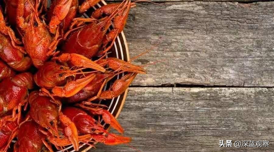 刷屏朋友圈或攻占家族群的101条谣言