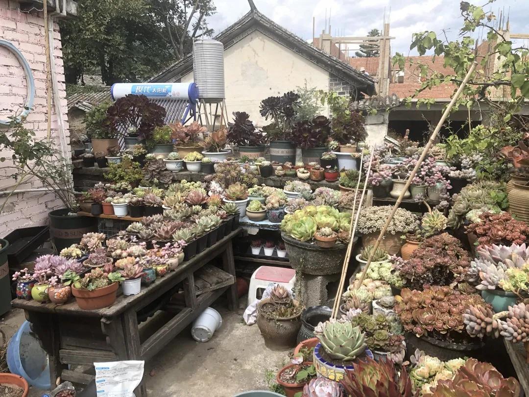 在大理生活的外省人,生活在别处的人