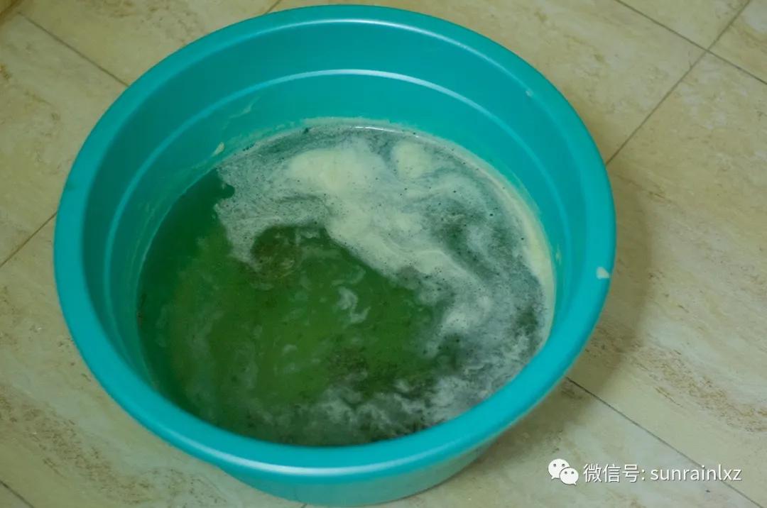 艾草家庭必备居家好物,艾草的清新生活