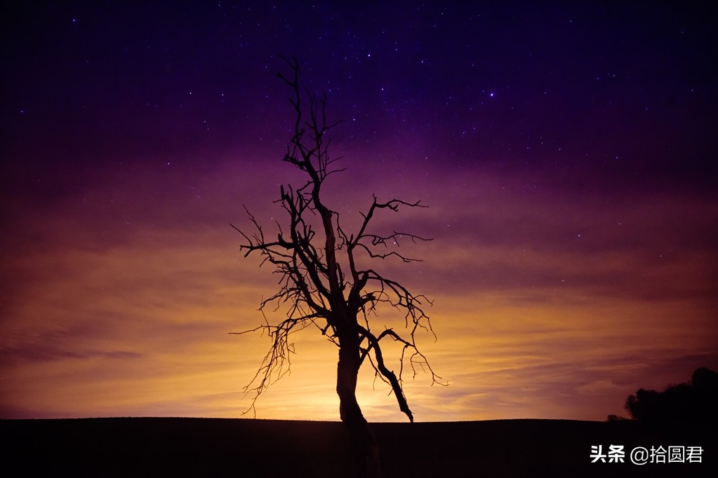 让人充满活力的励志句子,励志带有元气的句子