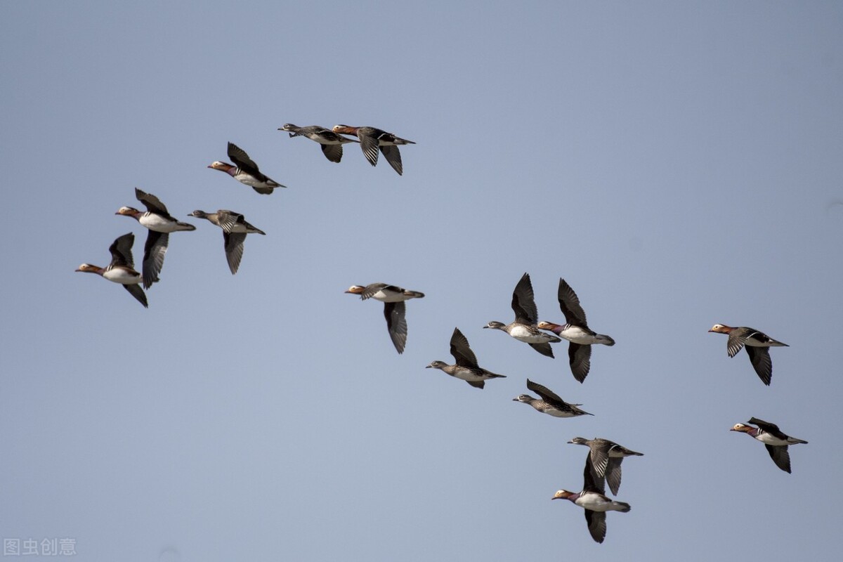 运城市十三县市有哪些,运城十三个县市有哪些