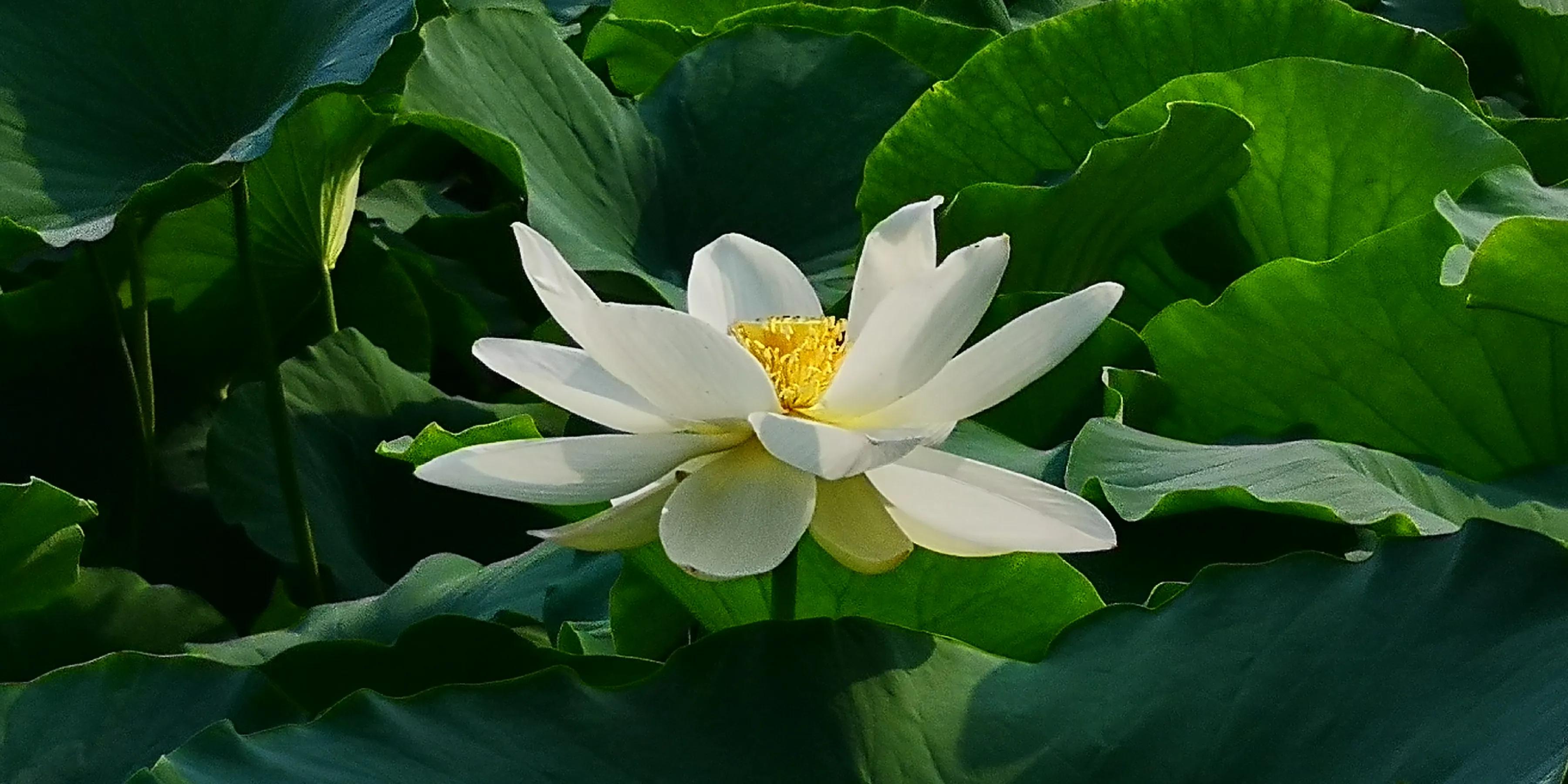 手拍世界手机摄影平台,手机摄影作品集大全集