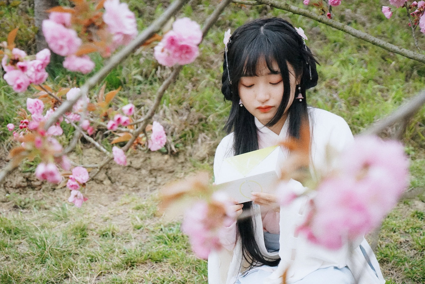 为什么四川的美女比较多,为什么四川美女多