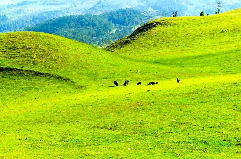 想去看风景云南推荐地,春节滇西最美线路自驾游