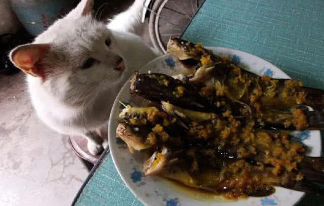 钓鱼人钓的是什么,钓鱼人就是这样收获满满