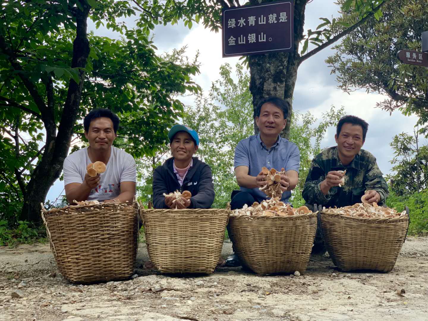 用心用情用力浙江代表热议,用心用力用情