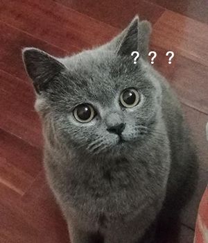 楼上的人把能给楼下捣的乱都捣了个遍，把卫生间的臭味、烟往楼下排，我该如何要求楼上赔偿？