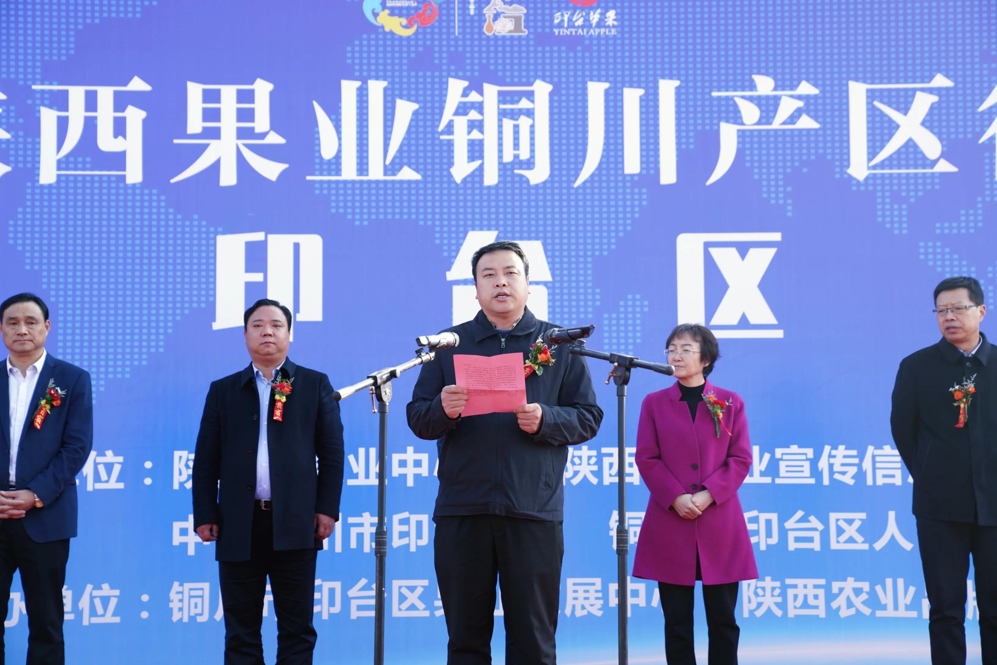 一品苹果·唯美印台,陕西果业产区行走进铜川印台区苹果优生区