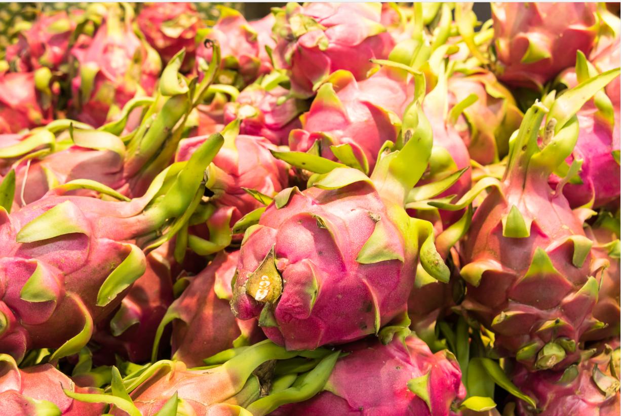 火龙果为什么长得像龙,火龙果为什么有个龙