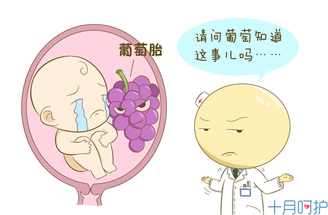 难道我的宝宝是葡萄?