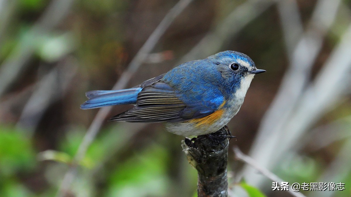 无量山镇游玩攻略一日游,无量山旅游攻略一日游多少钱