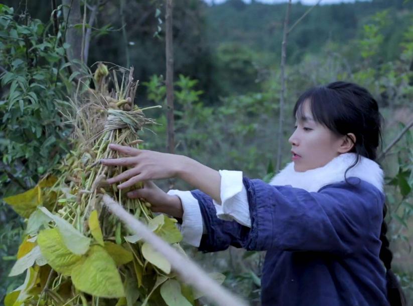 马云预言下一个农村致富风口,马云谈风口风来了猪都会飞