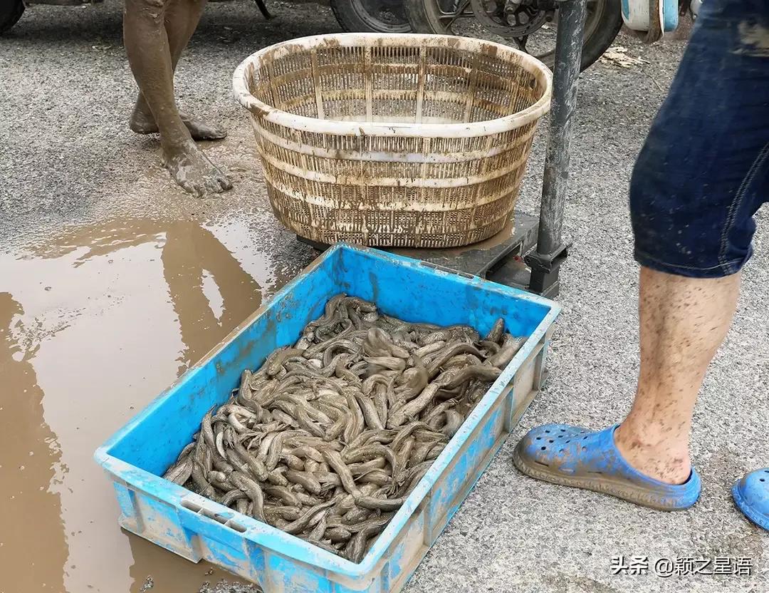 慈溪市的本帮菜