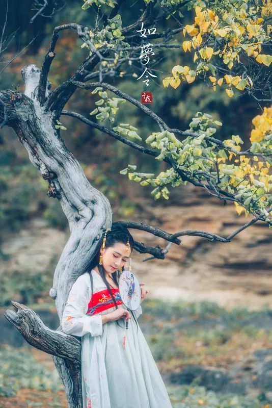 如梦令歌曲相思,如梦令相思千里