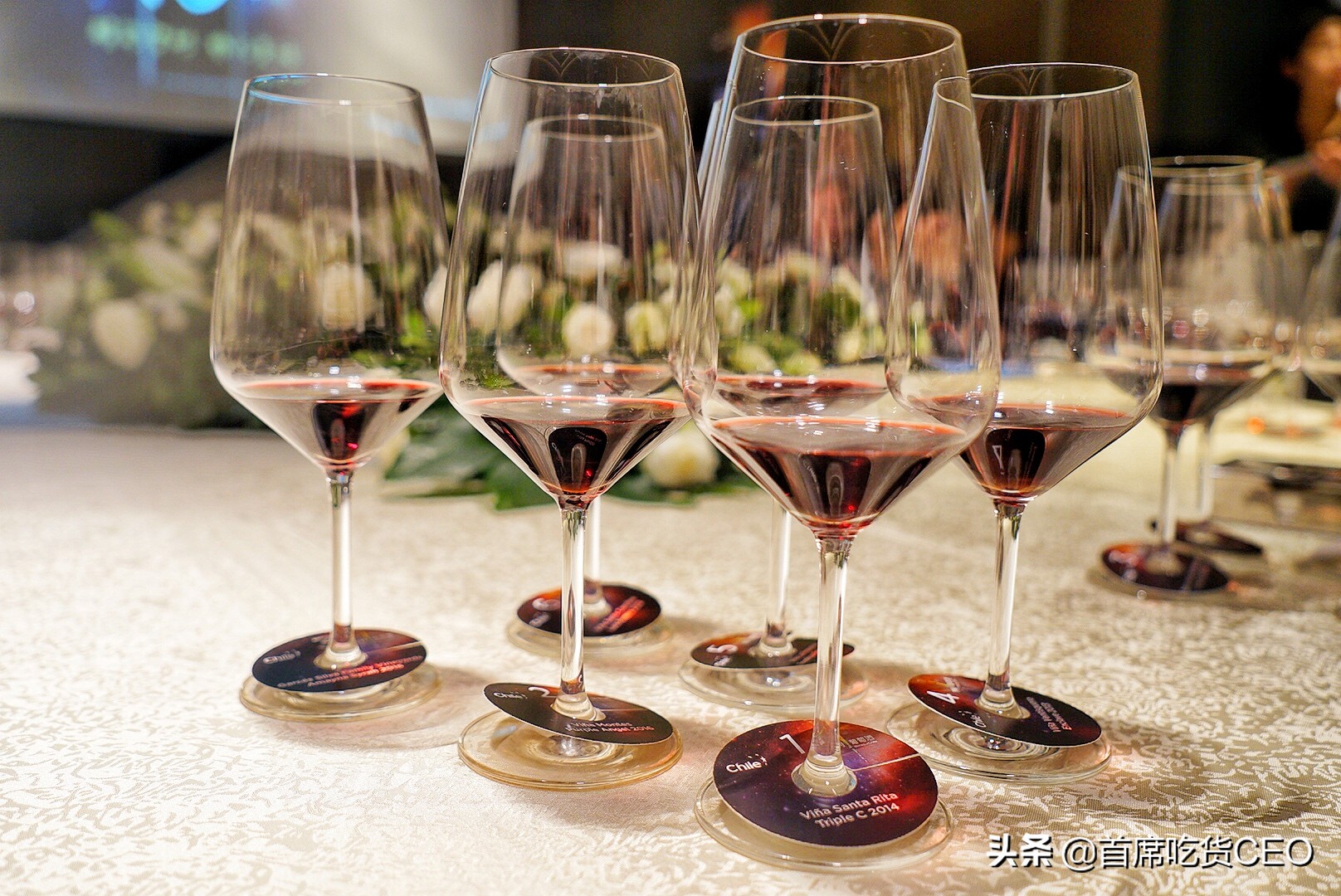 智利美酒推荐,智利美酒