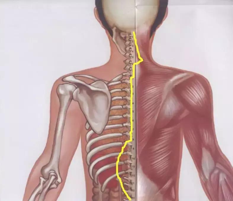 重度疼痛止痛方法,持续疼痛3-7天缓解疼痛过程