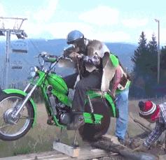 开心一刻gif下雨天,搞笑gif笑到肚子疼意外瞬间特辑