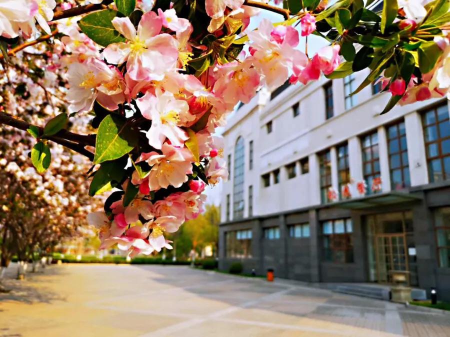 首都师范大学科德学院怎么样啊,首都师范大学科德学院乱不乱