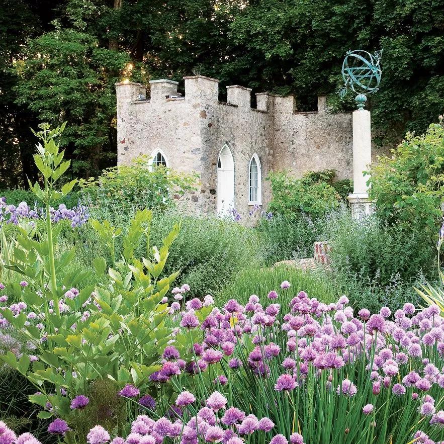 观花草本植物推荐,最具观赏性的观叶植物