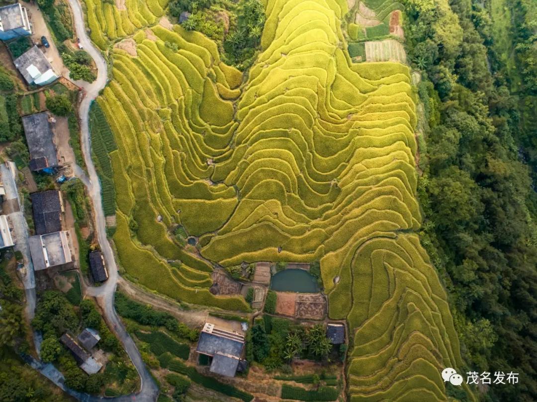 贵州黔西美丽乡村入画来,美丽的乡村茂名