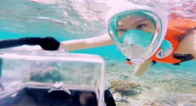 魏晨婚后生活照,魏晨结婚照全集