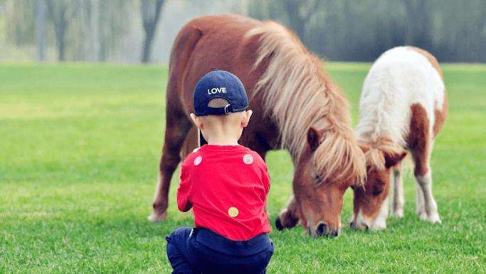 北京庄园旅游景点推荐,北京亲子庄园游玩推荐