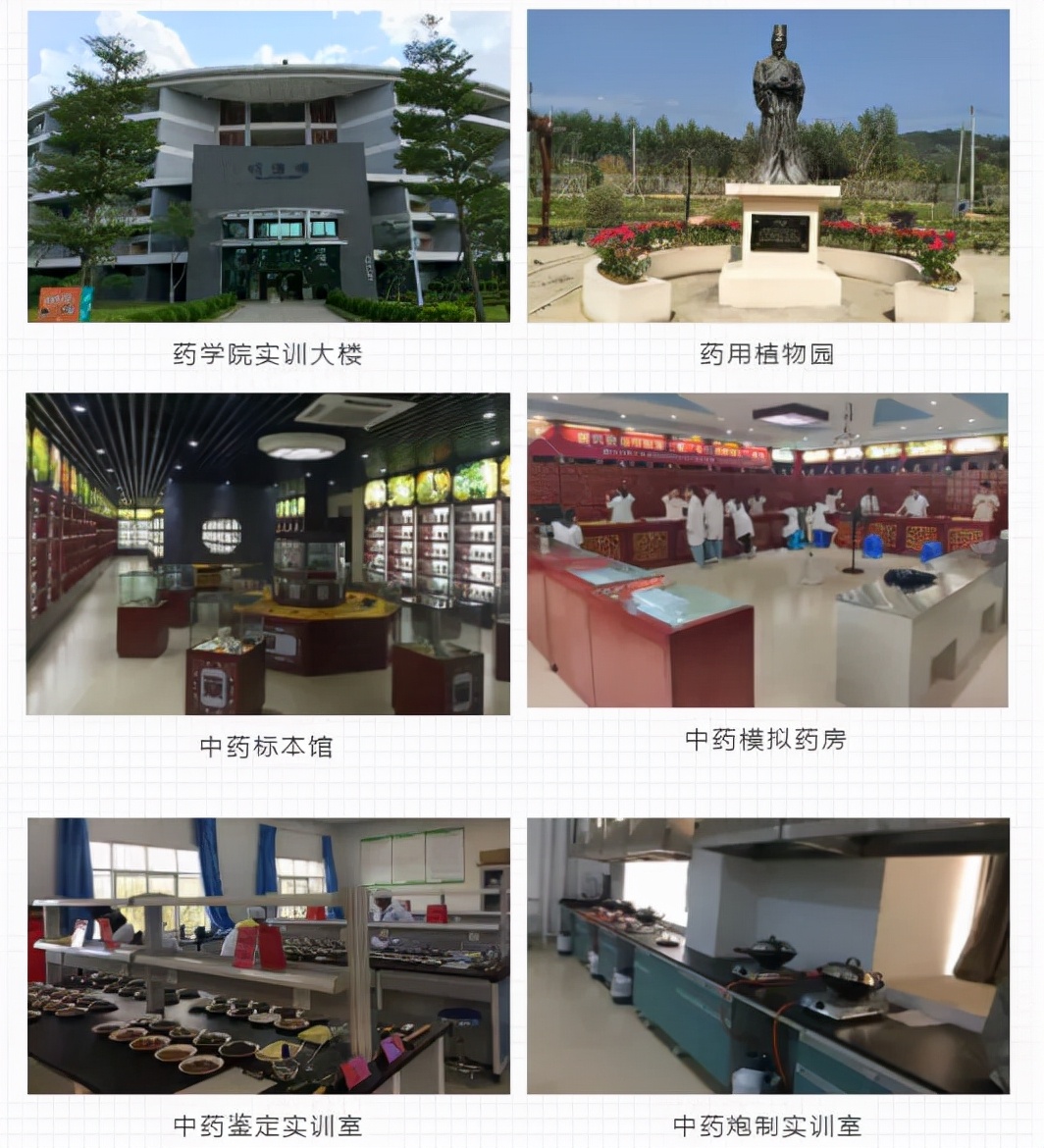 这所院校的省级品牌专业太棒了!期望成为中药学人才的小伙伴冲鸭