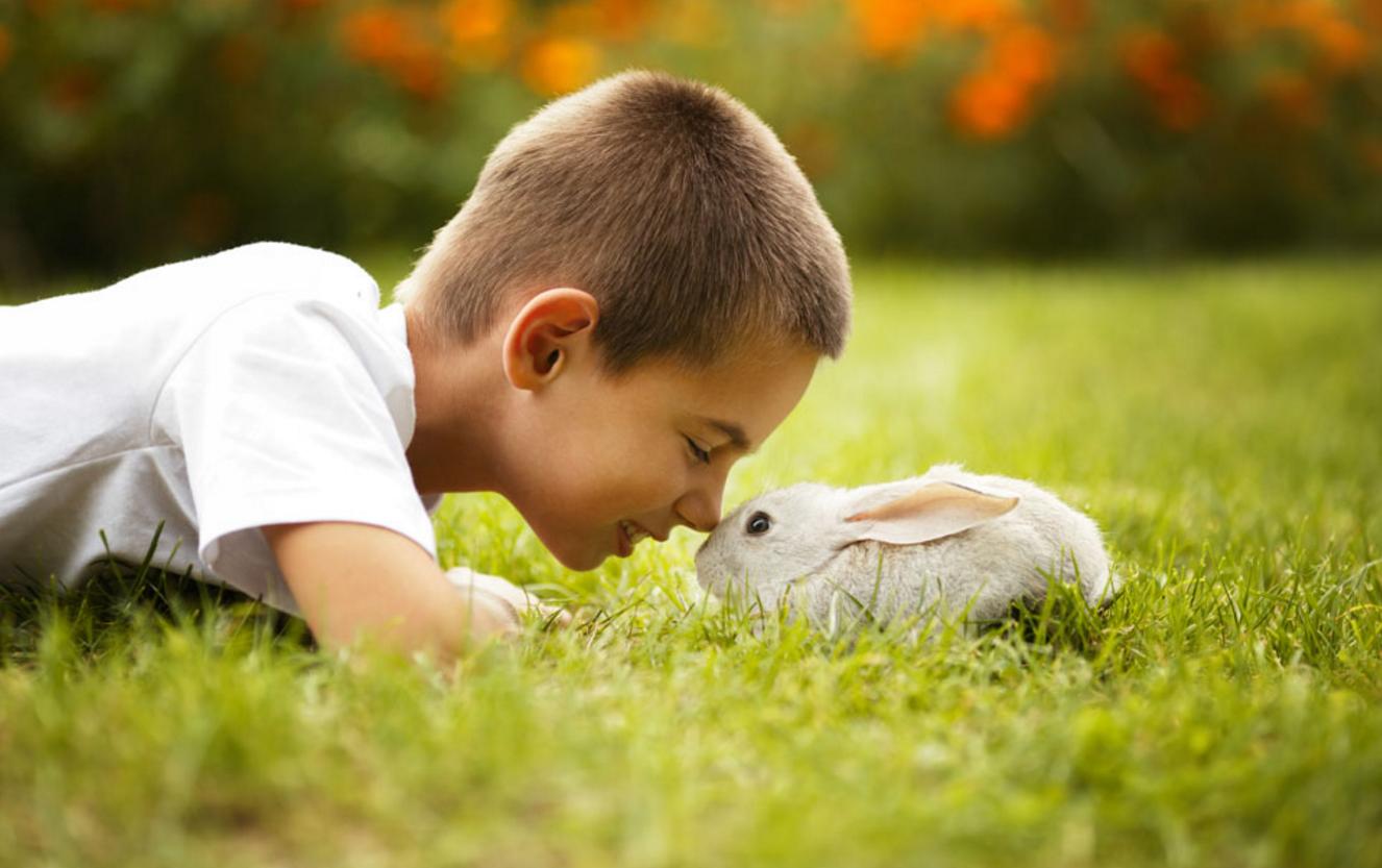 “妈妈,我要买这个”,孩子自控能力差,家长用“CAP原则”改变