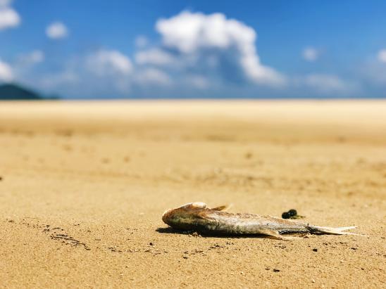 iphone有什么好技能,iphone究竟有什么能耐