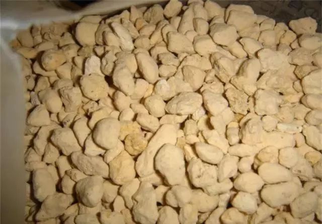 仅用树皮养兰花的方法,树皮养兰花什么样的树皮最好看