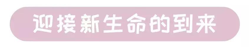 猫咪生产的当天要注意的事项,猫咪生产注意事项