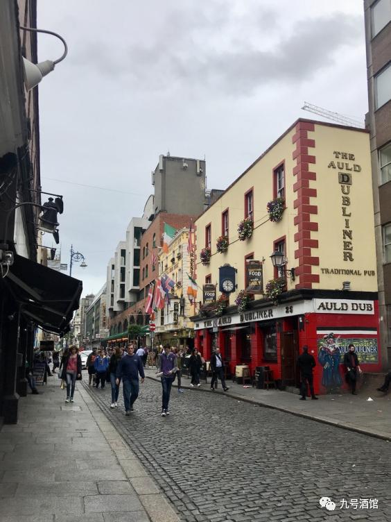 飞鸟越过珊瑚海,飞鸟越过山林