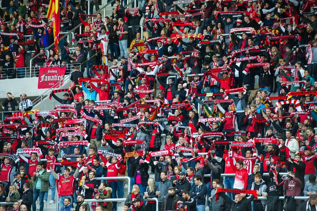 弗赖堡欧洲公园足球场,弗赖堡欧洲公园球场