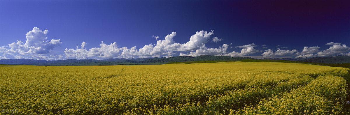 谦卦卦辞,谦卦象辞