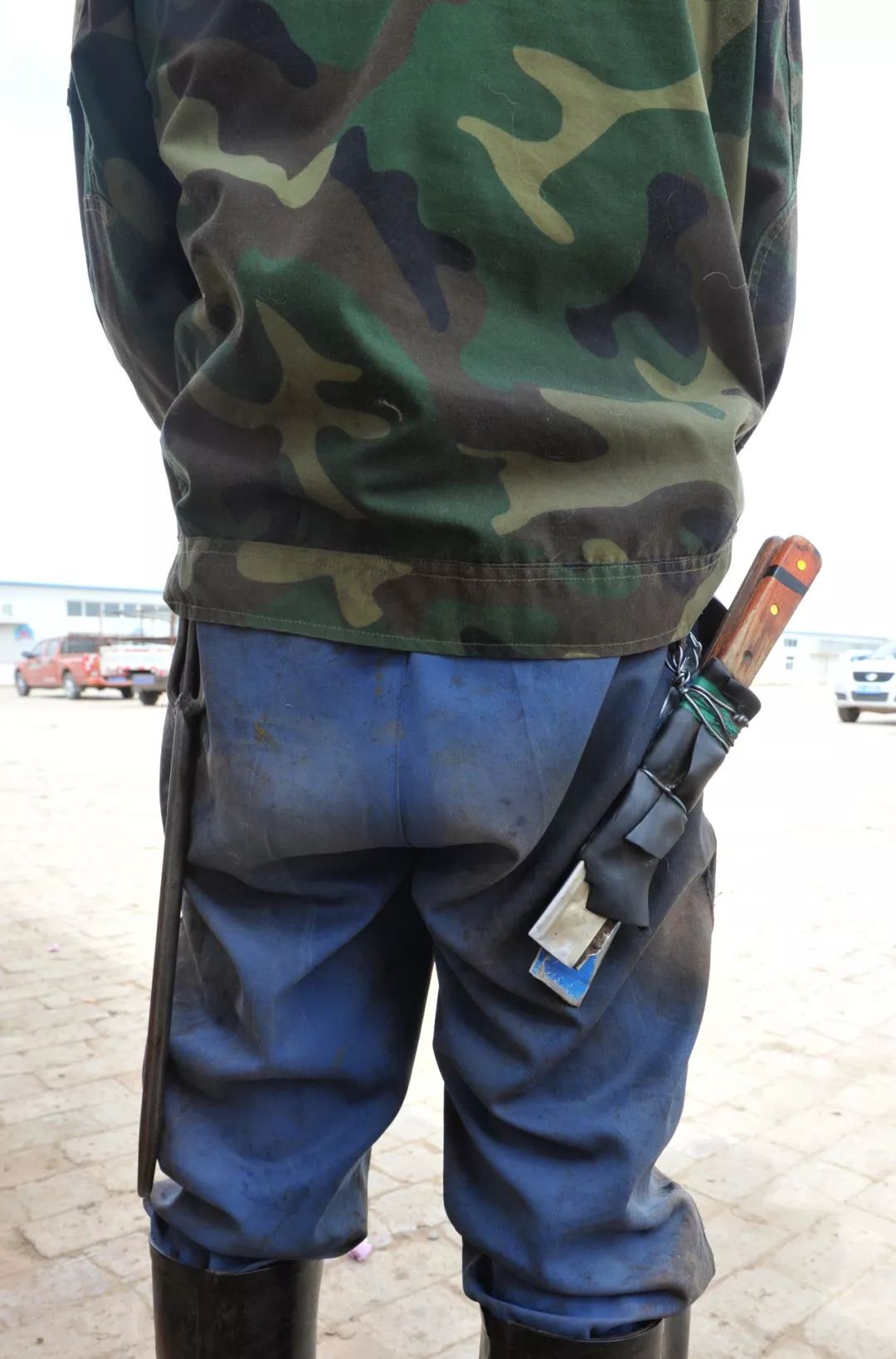 内蒙羊肉与盐池滩羊肉,新疆羊肉和盐池滩羊肉