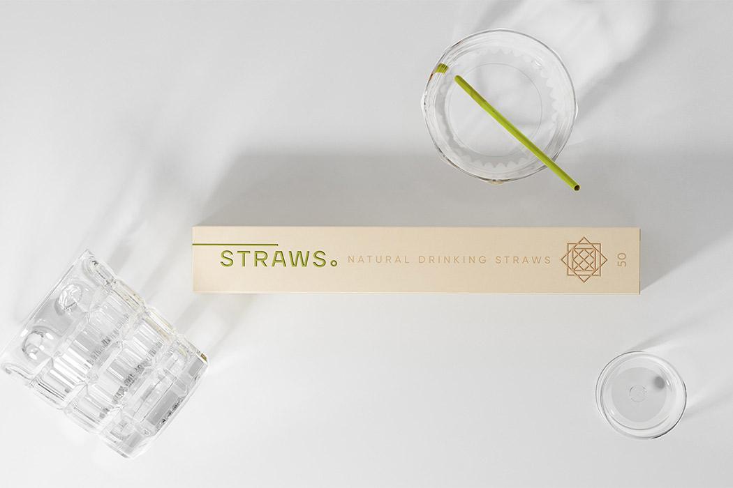 爱护地球环保主题手工,地球环保设计