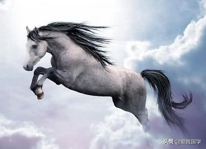 十句关于马的诗句和作者,写马飞奔的古诗词名句