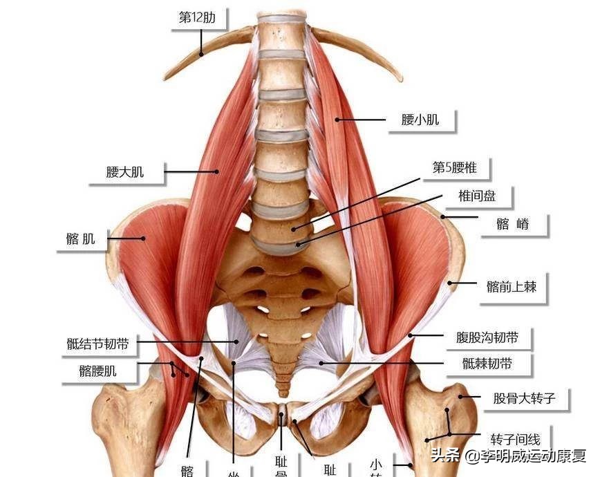 腰痛的最快的恢复办法,腰痛腰间盘突出自行康复