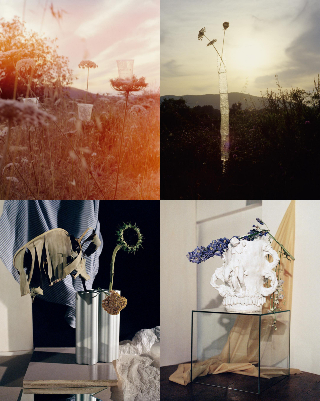 收藏贴纸本,收藏的贴纸